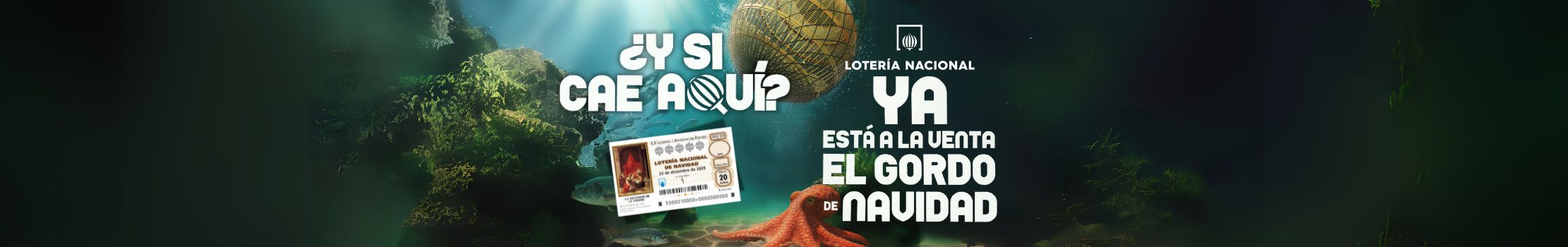 Sorteo Loteria de Navidad